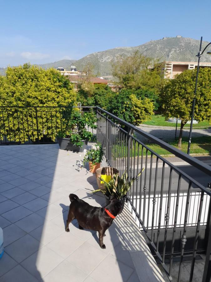 A Casa Di Falco 몬드라고네 외부 사진