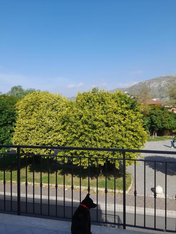 A Casa Di Falco 몬드라고네 외부 사진
